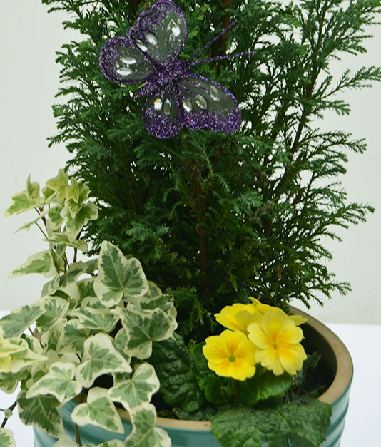 Simply Flowers Ceramic & Tin Planters 2
