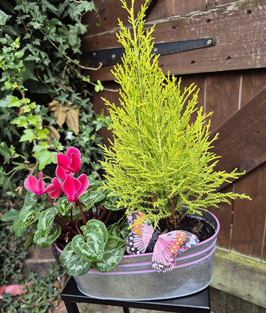 Simply Flowers Trough Planers