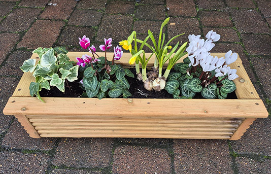 Mothersday Flowers - Wooden Planters