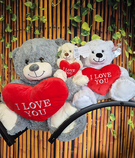 Valentines Ted - Teddy Bear
